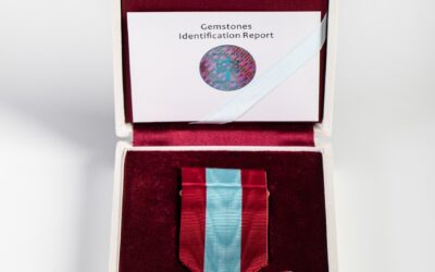 Memorial Medal of Tree of Peace, Special class with rubies